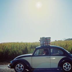 Reasons To Consider A Bachelor Of Commerce Degree