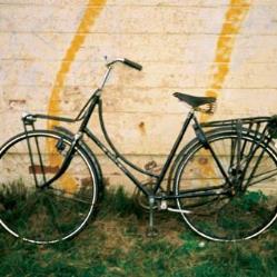 Take On The World With A Bcom Honours